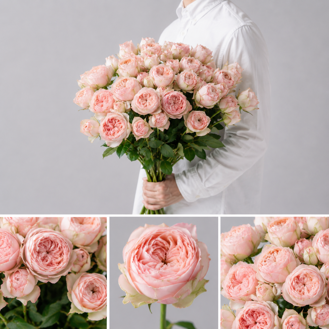 【esprio fleurs paris】【切花最高等級「秀等級」スプレーバラ ハーパー 10本セット】【エスプリオフルール】
