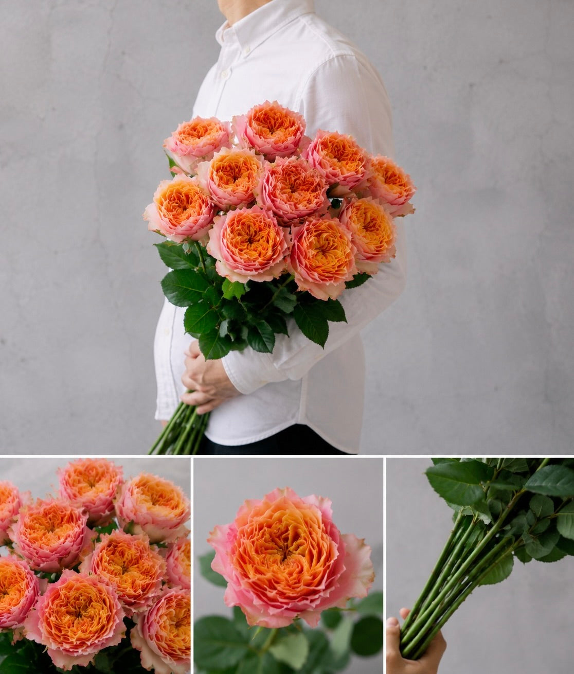 【esprio fleurs paris】【 切花最高等級『秀等級』バラ / ケンジントンガーデン(切花)10本セット】【エスプリオフルール】