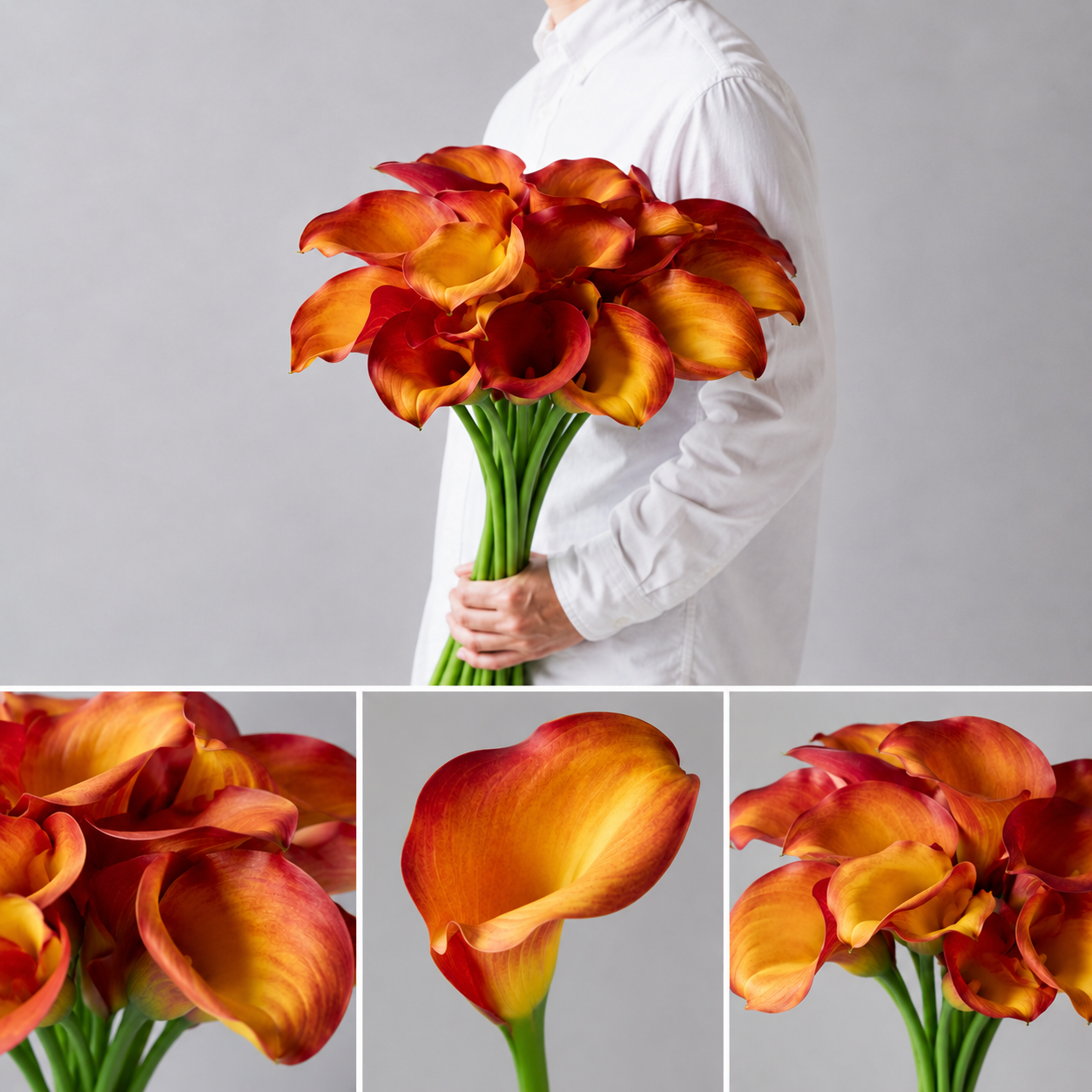 【esprio fleurs paris】【切花最高等級『秀等級』カラー キャプテンオデオン 10本セット】【エスプリオフルール】