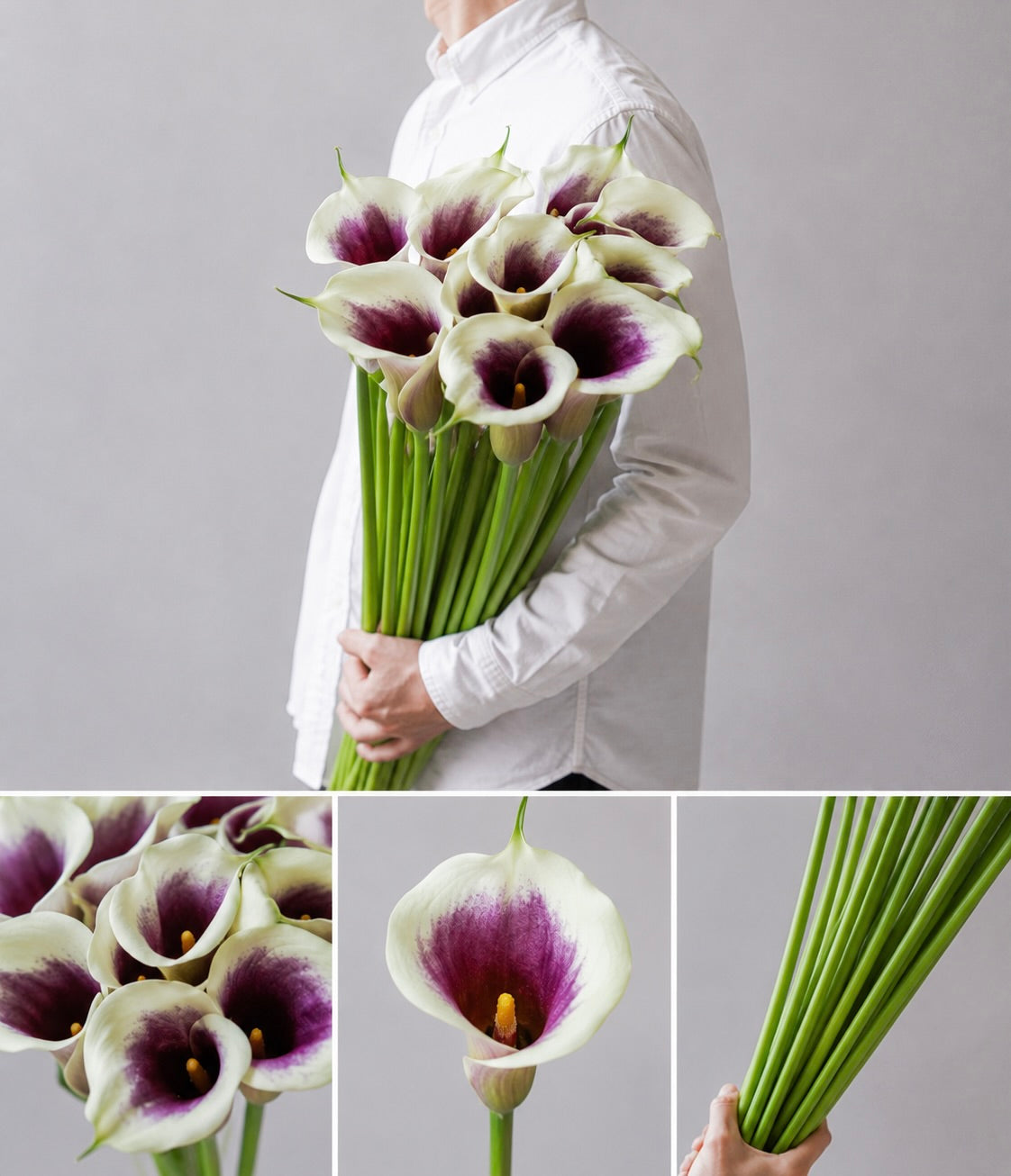 【esprio fleurs paris】【 切花最高等級『秀等級』カラー / ピカソ(切花)10本セット】【エスプリオフルール】