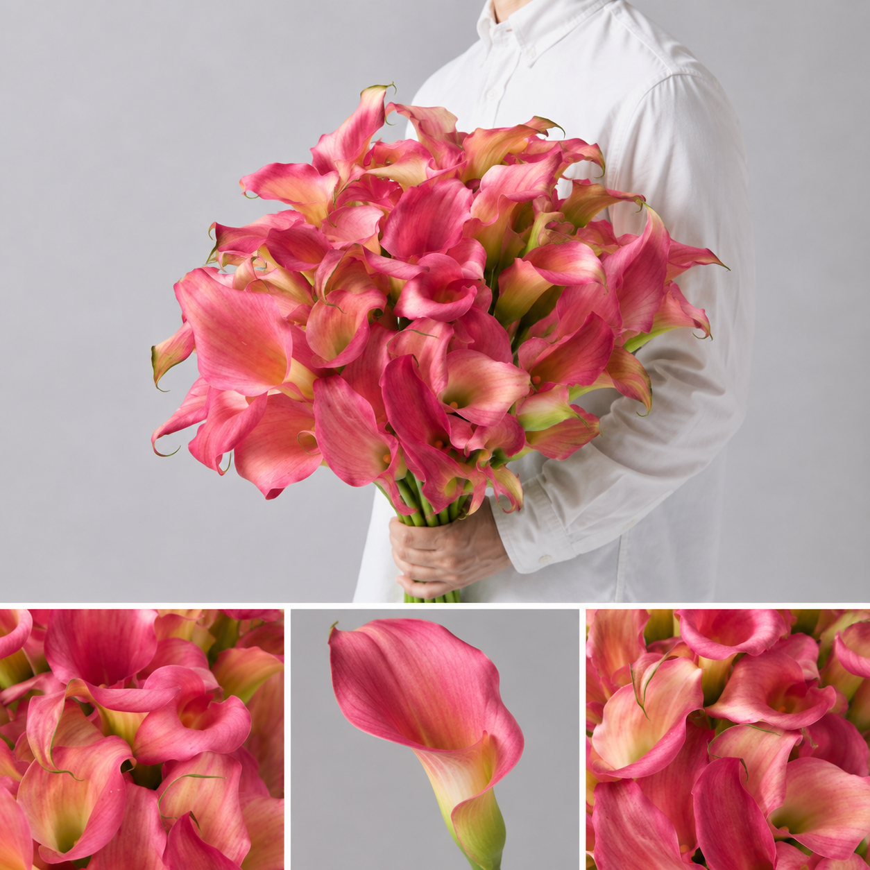 【esprio fleurs paris】【切花最高等級『秀等級』カラー 『キャプテン ハリウッド』10本セット】【エスプリオフルール】