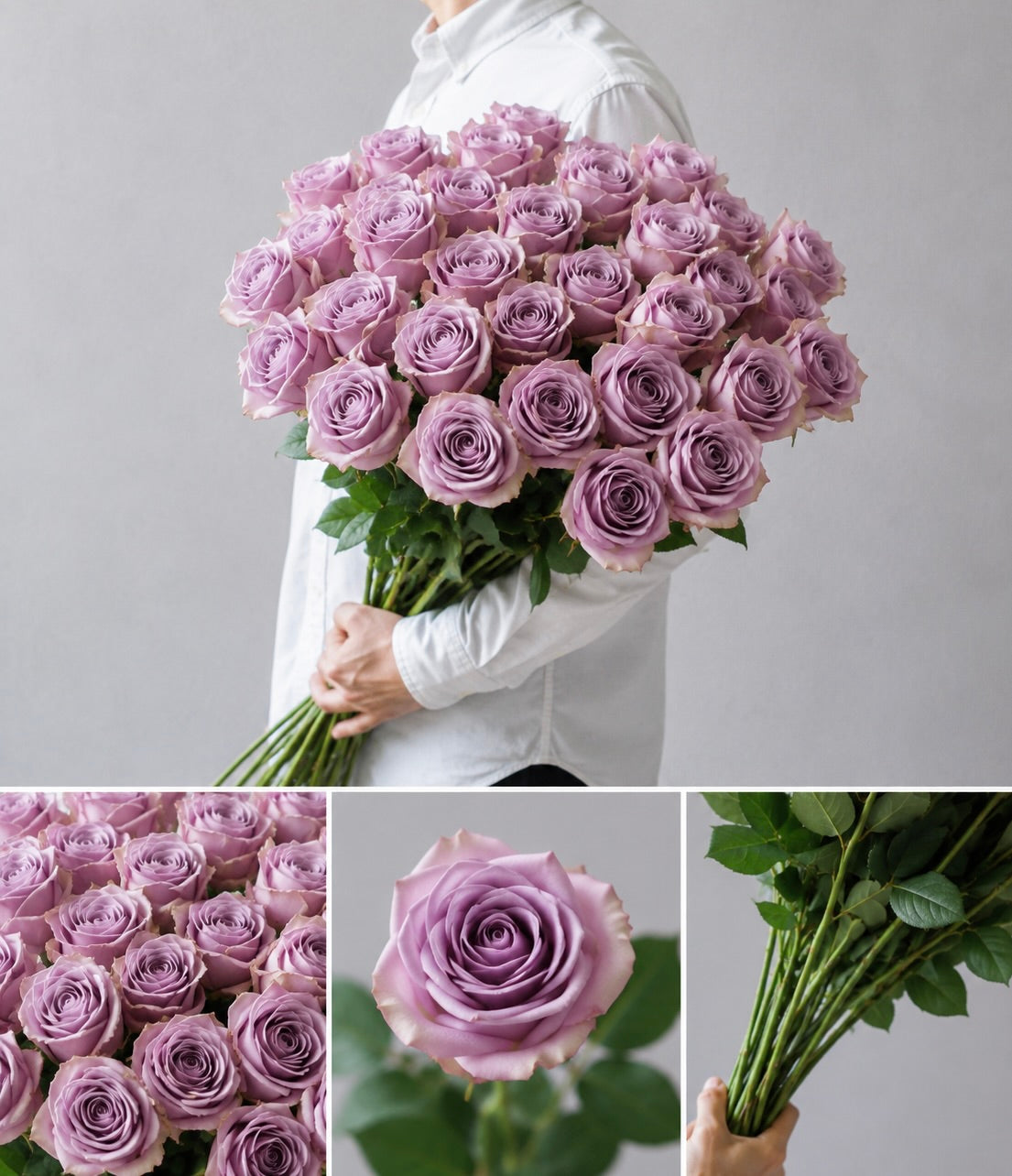 【esprio fleurs paris】【 切花最高等級『秀等級』バラ / ライラッククラシック(切花)10本セット】【エスプリオフルール】