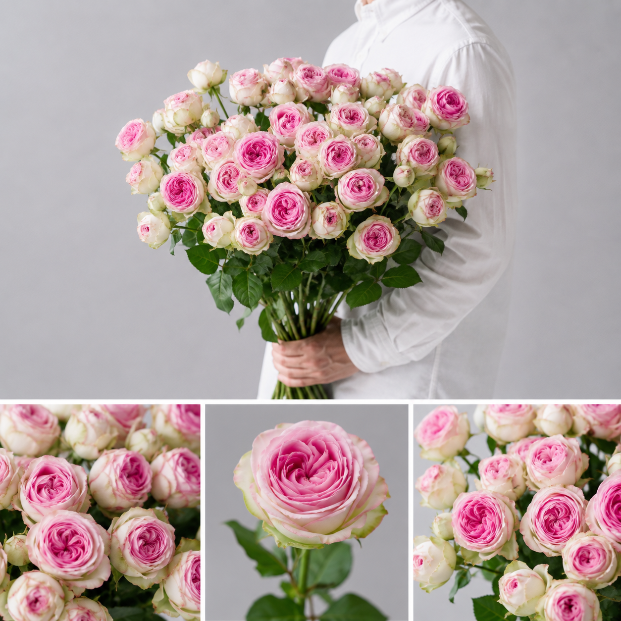 【esprio fleurs paris】【切花最高等級「秀等級」スプレーバラ ジェラート 10本セット】【エスプリオフルール】