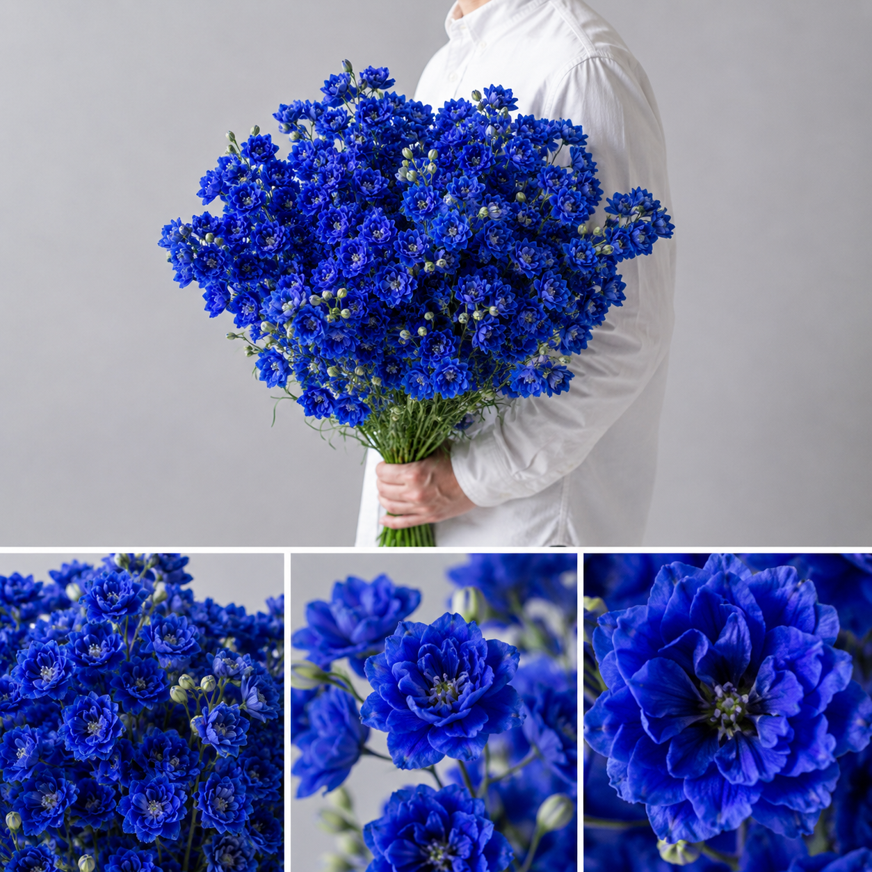 【esprio fleurs paris】【切花最高等級『秀等級』デルフィニウム ビジューアクアマリン 10本セット】【エスプリオフルール】