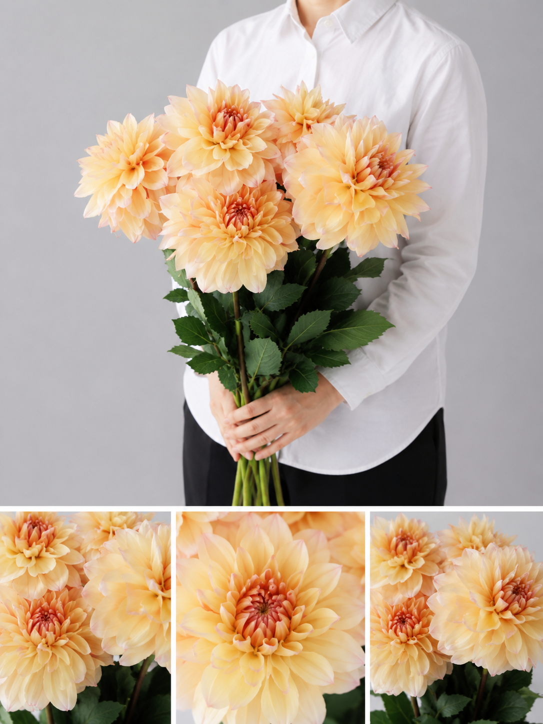 【esprio fleurs paris】【切花最高等級『秀等級』 ダリア「ペアビューティ」10本セット】【エスプリオフルール】