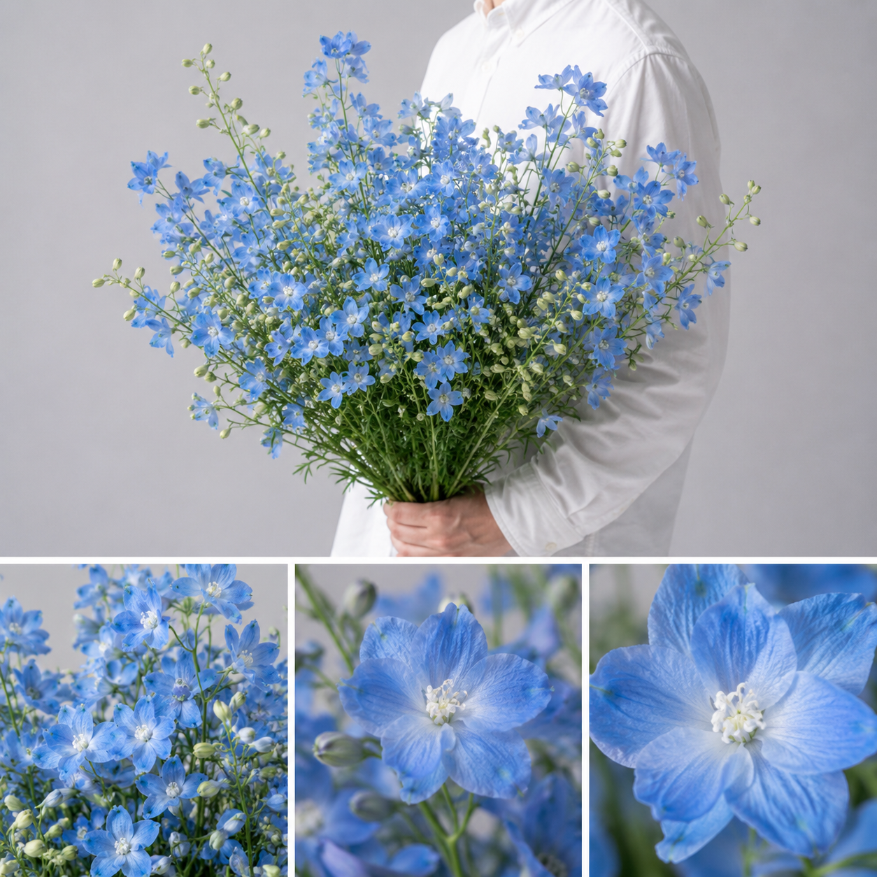 【esprio fleurs paris】【切花最高等級『秀等級』デルフィニユーム スーパー プラチナブルー 10本セット】【エスプリオフルール】