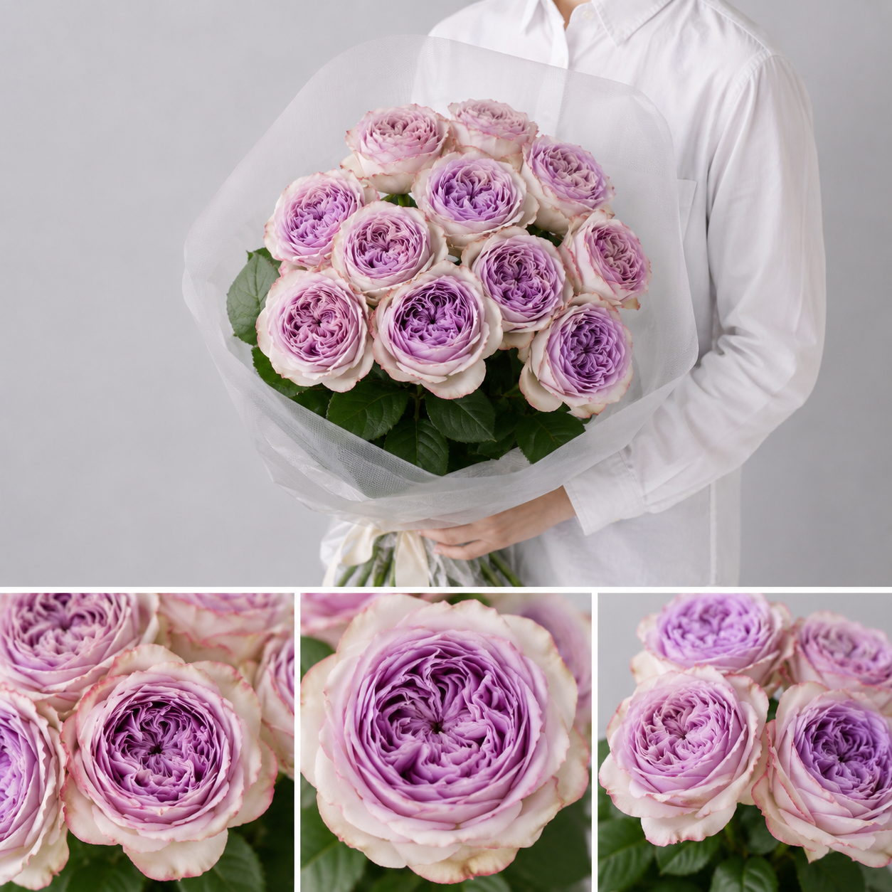 【esprio fleurs paris】【切花最高等級『秀等級』 バラ「ドルチェット！」10本セット】【エスプリオフルール】