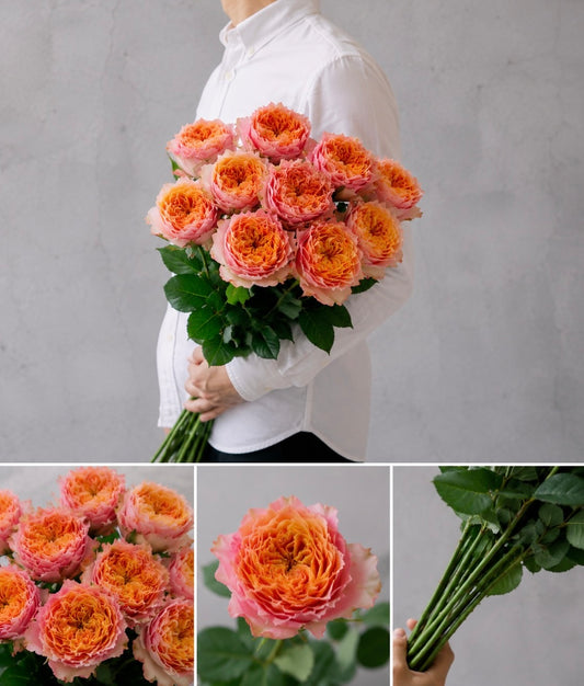 【esprio fleurs paris】【 切花最高等級『秀等級』バラ / ケンジントンガーデン（切花）10本セット】【エスプリオフルール】