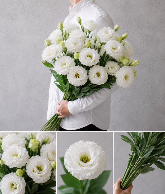 【esprio fleurs paris】【 切花最高等級『秀等級』トルコキキョウ / セレブリッチホワイト（切花）10本セット】【エスプリオフルール】