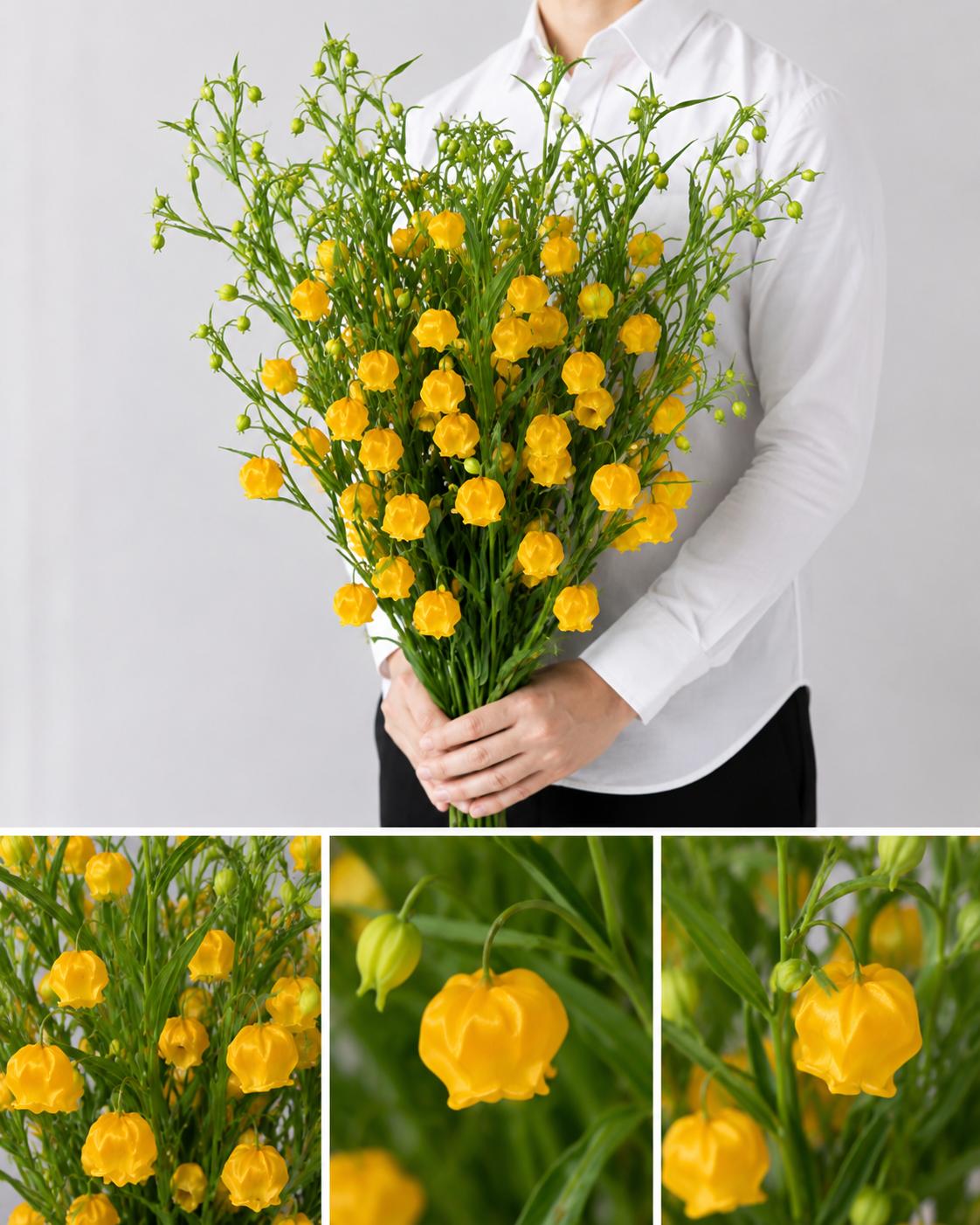 【esprio fleurs paris】【切花最高等級『秀等級』 サンダーソニア「オーランチアカ」10本セット】【エスプリオフルール】