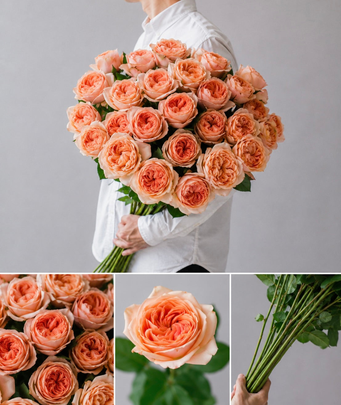 【esprio fleurs paris】【 切花最高等級『秀等級』バラ / カントリーホーム（切花）10本セット】【エスプリオフルール】