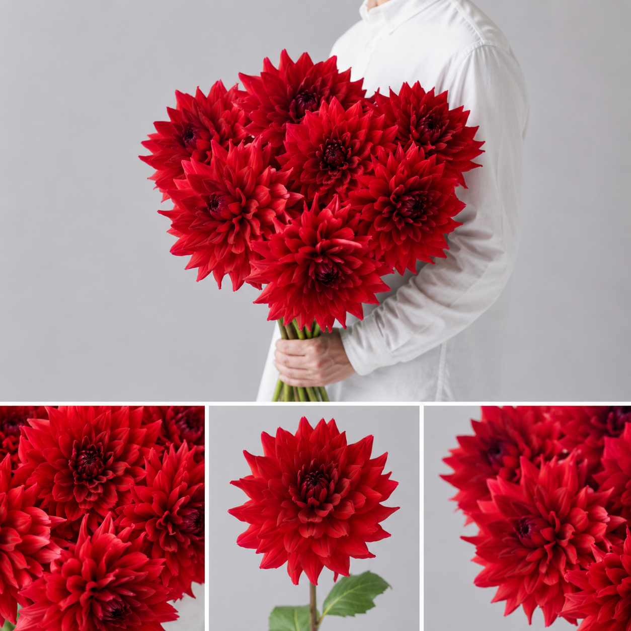 【esprio fleurs paris】【切花最高等級「秀等級」ダリア「ガーネット」10本セット】【エスプリオフルール】
