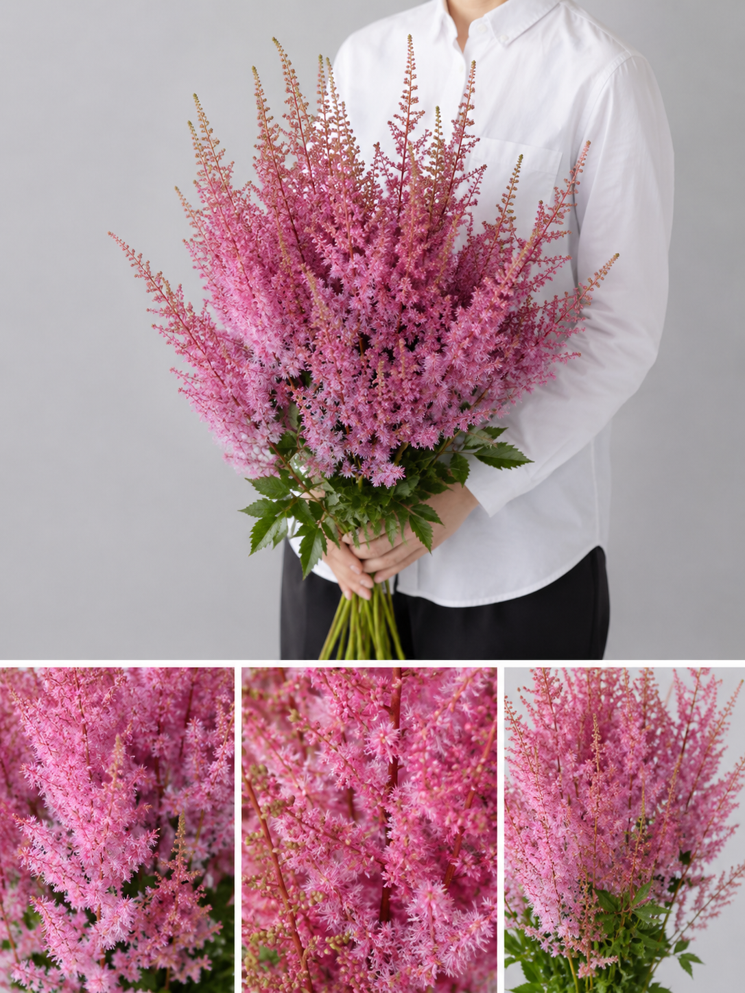 【esprio fleurs paris】【切花最高等級『秀等級』 アスチルベ（ピンク）」10本セット】【エスプリオフルール】