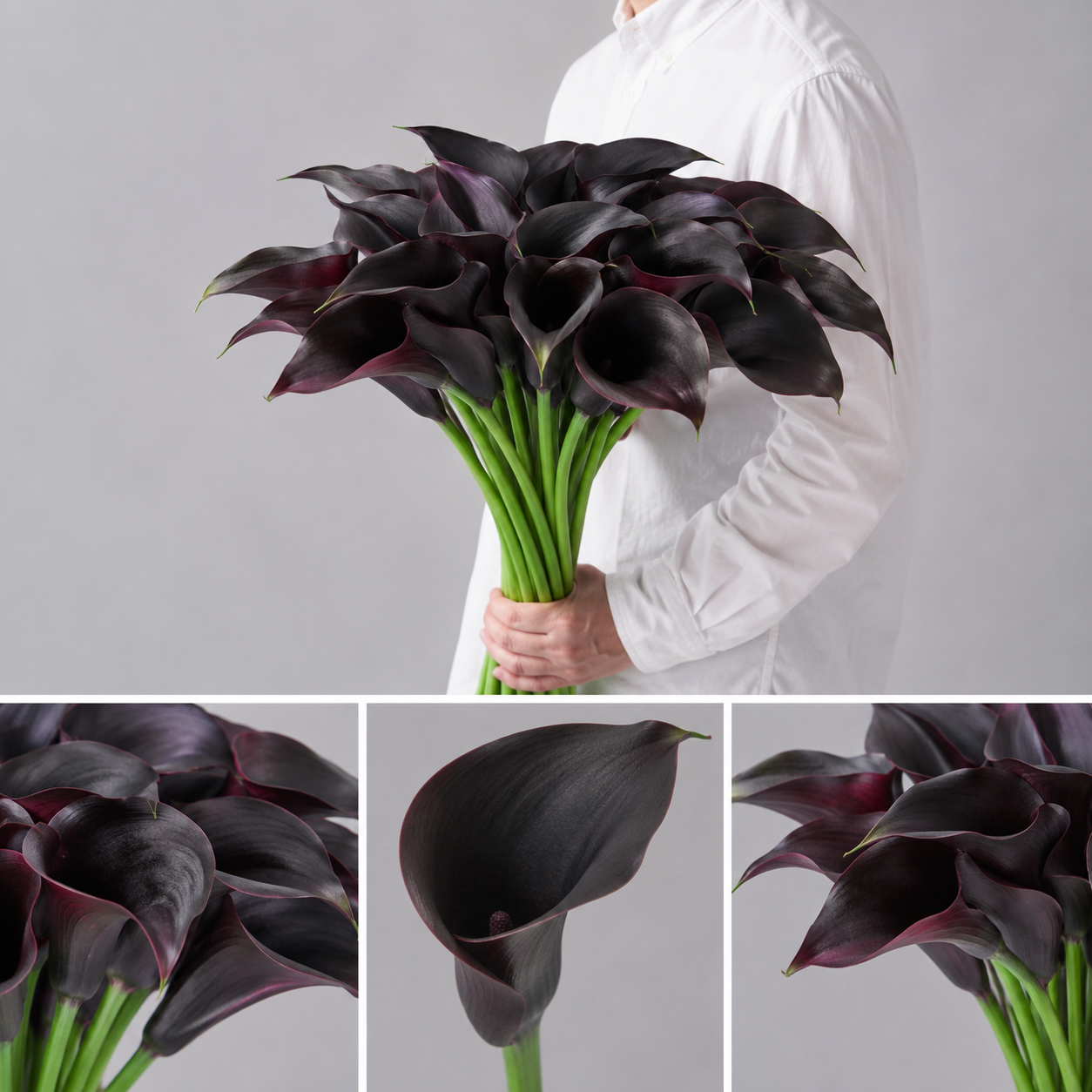 【esprio fleurs paris】【切花最高等級「秀等級」カラー ブラックダイヤモンド 10本セット】【エスプリオフルール】