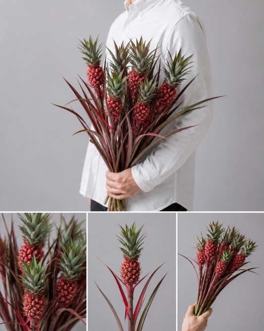【esprio fleurs paris】【 切花最高等級『秀等級』ハナパイン / スタールージュ（切花）10本セット】【エスプリオフルール】