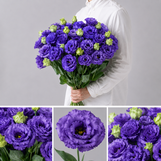 【esprio fleurs paris】【切花最高等級『秀等級』トルコキキョウ『ボヤージュ ブルー』10本セット】【エスプリオフルール】