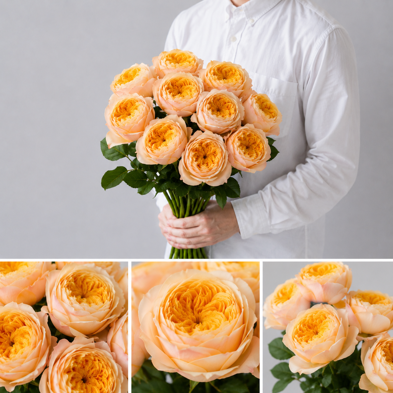 【esprio fleurs paris】【切花最高等級『秀等級』 バラ「セントピーターズパークス」10本セット】【エスプリオフルール】