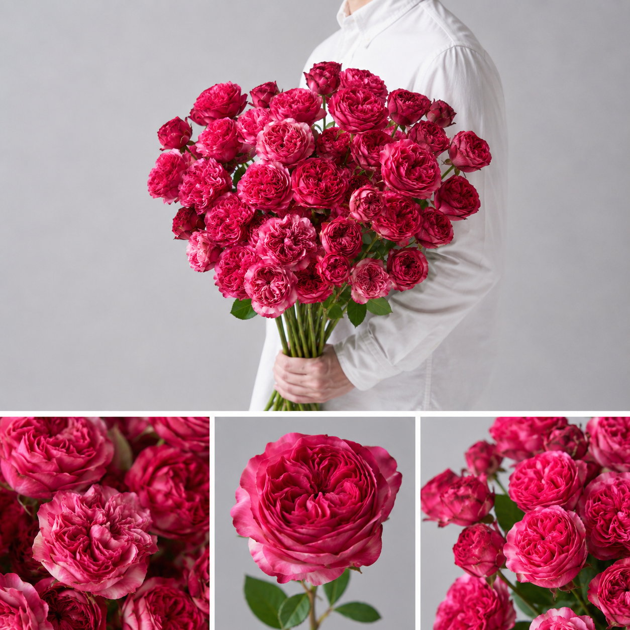【esprio fleurs paris】【切花最高等級「秀等級」スプレーバラ 「ドリーチークス」 10本セット】【エスプリオフルール】