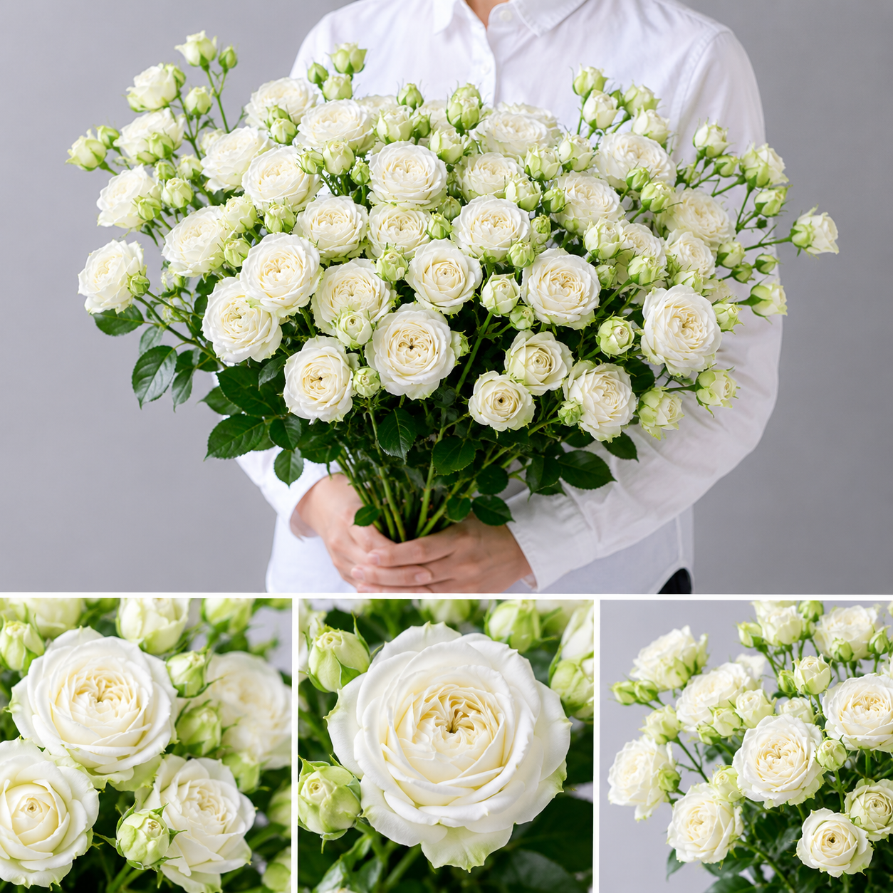 【esprio fleurs paris】【切花最高等級『秀等級』 スプレーバラ「アンフラグマンドネージュ」10本セット】【エスプリオフルール】